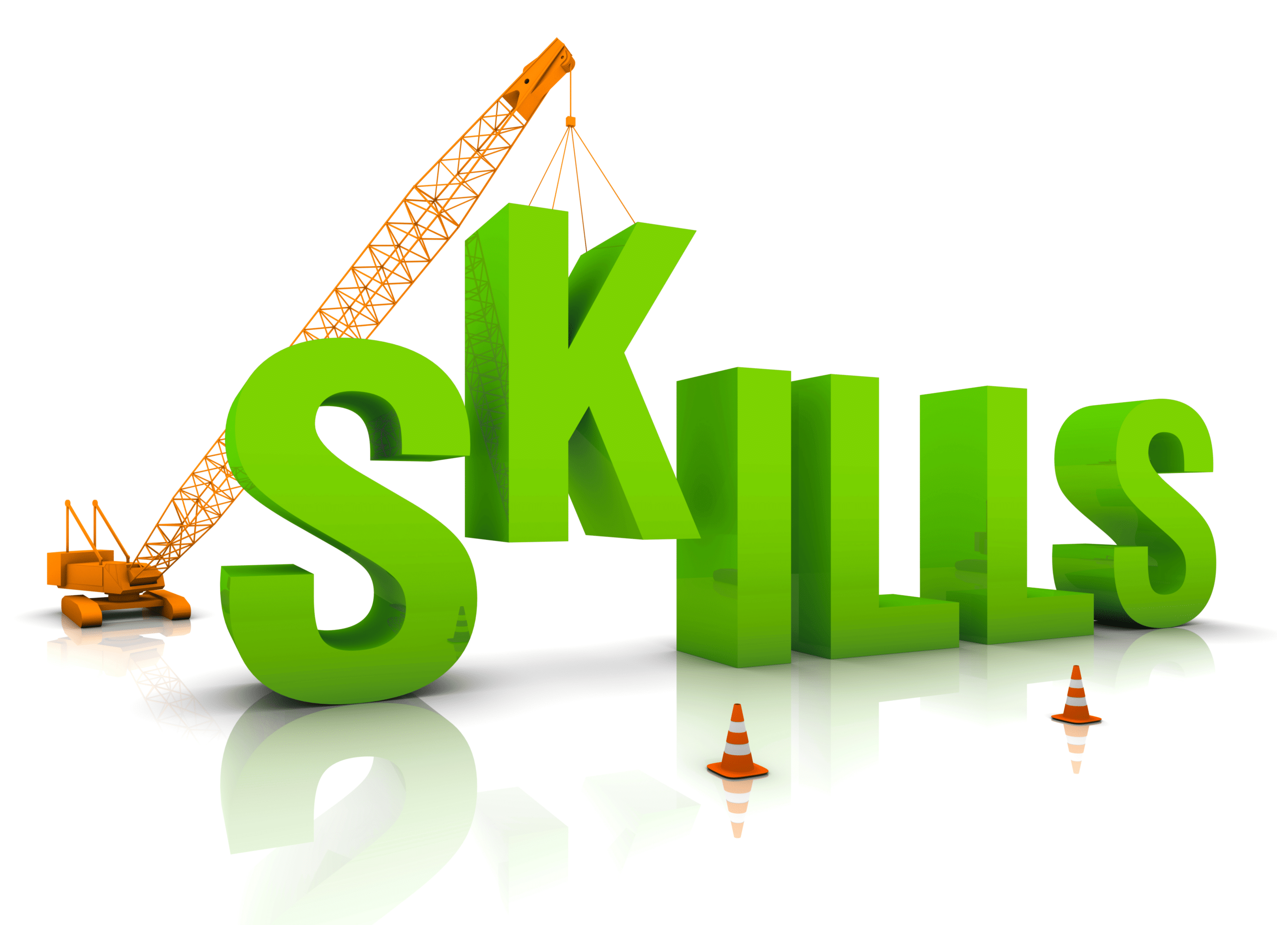 Contractors Bridging the Skills Gap
