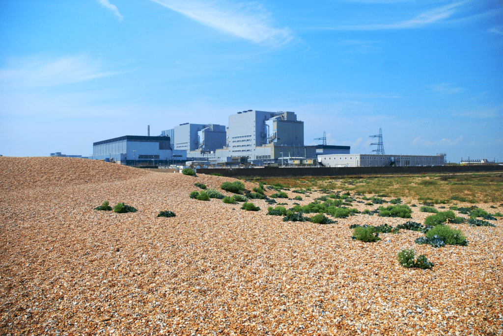 SMR Nuclear Reactor