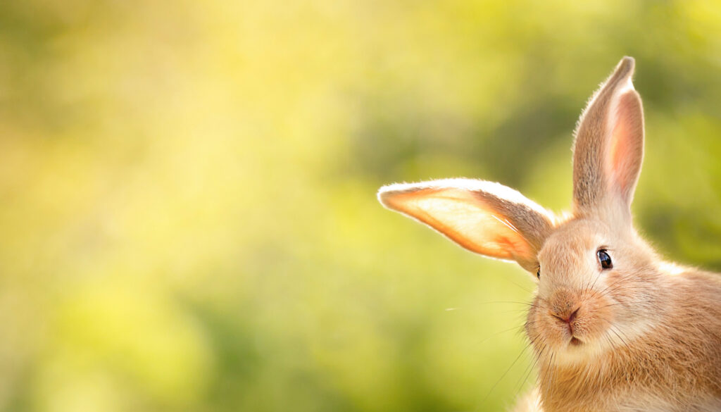 Spring into a New Career